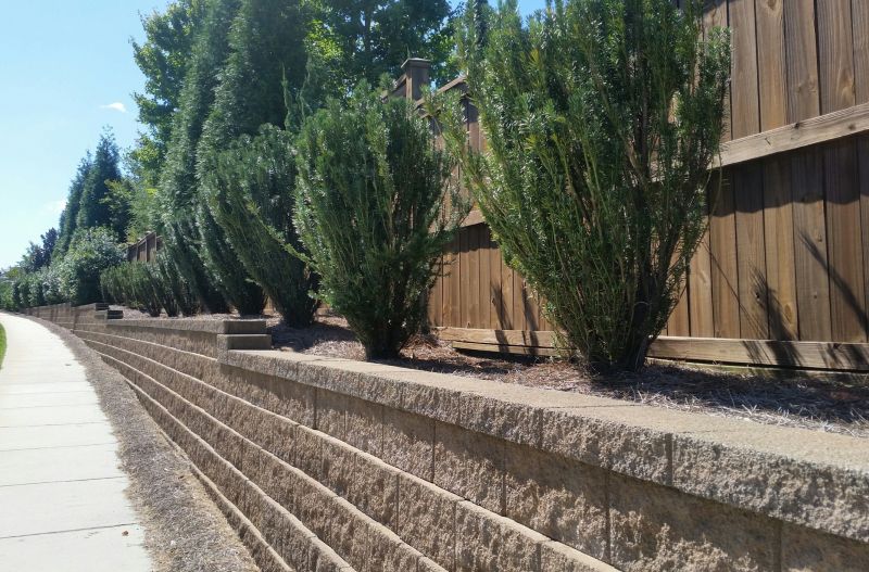 Landscape Wall Construction in Sanford, FL