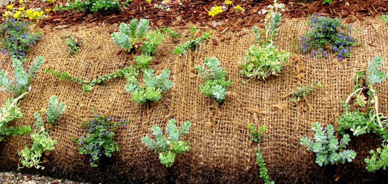 Soil Erosion Prevention Service