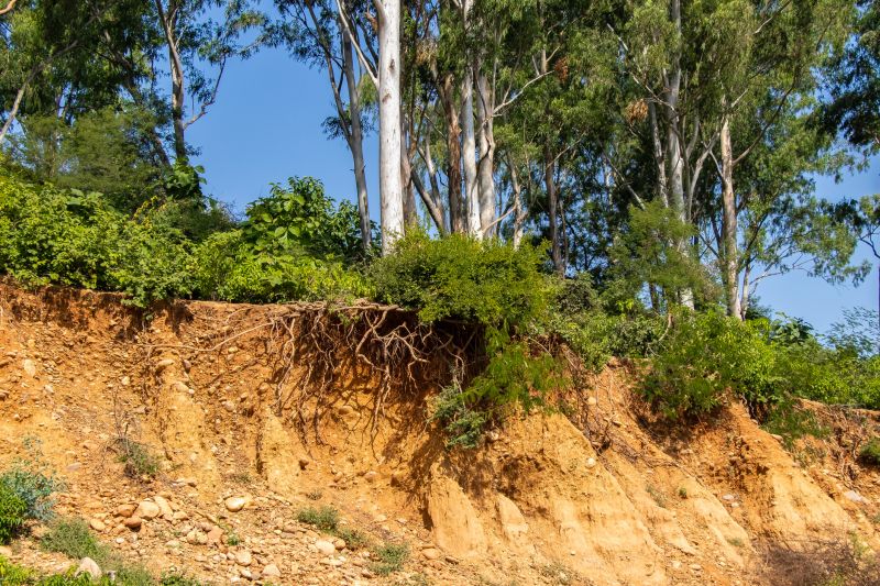 Soil Erosion Prevention Service